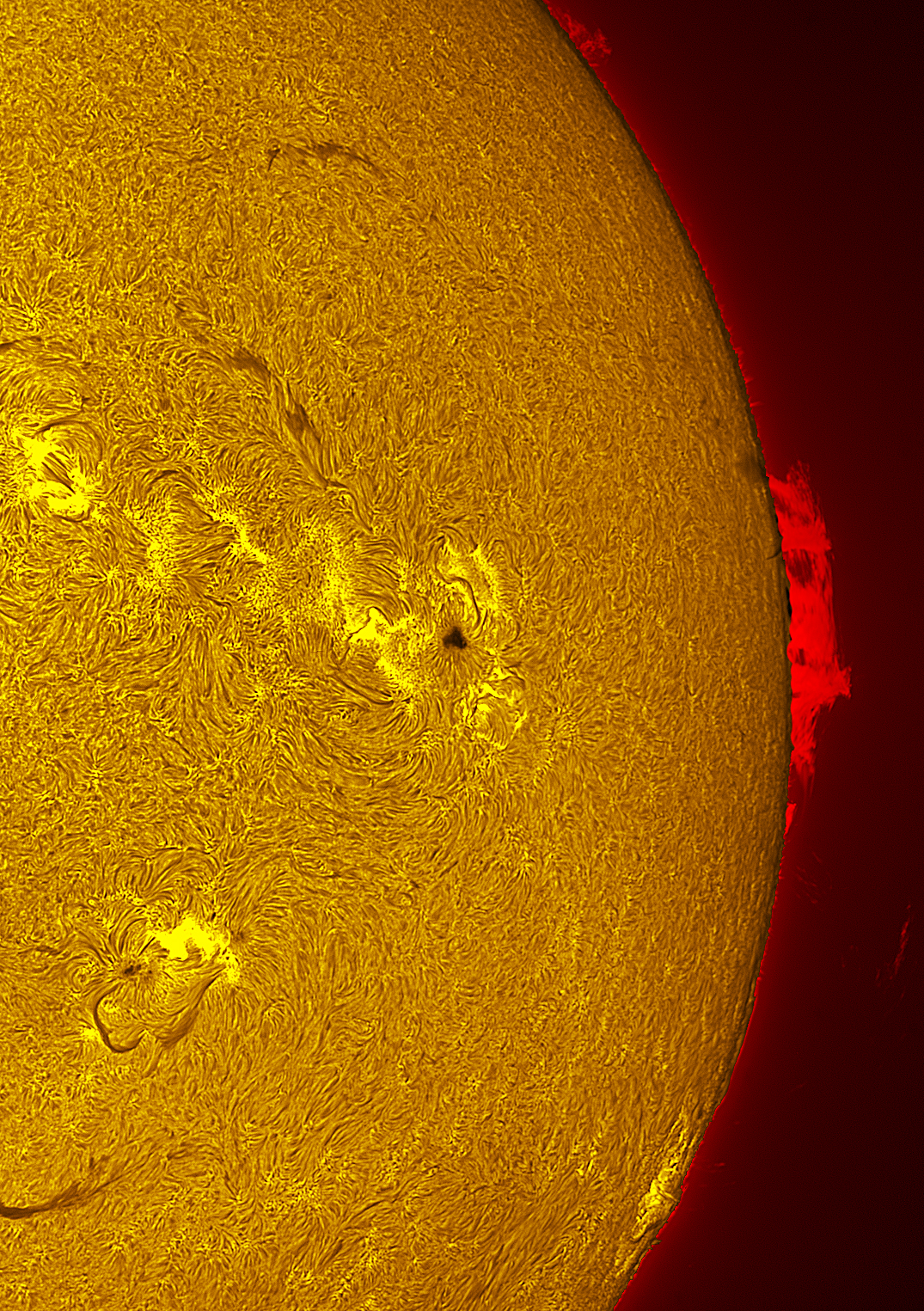Active region 4455 in h-alpha 06/05/26