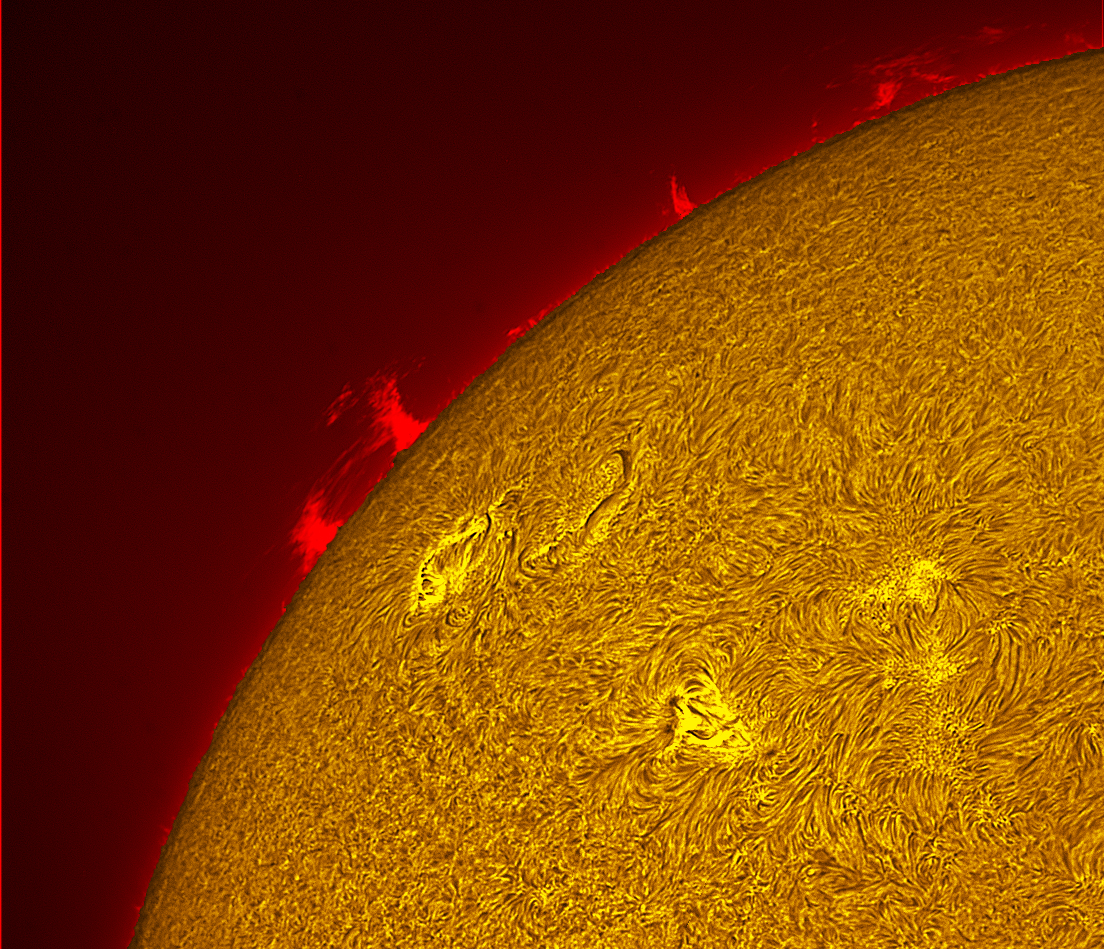 Active region 4462 in h-alpha 06/03/26