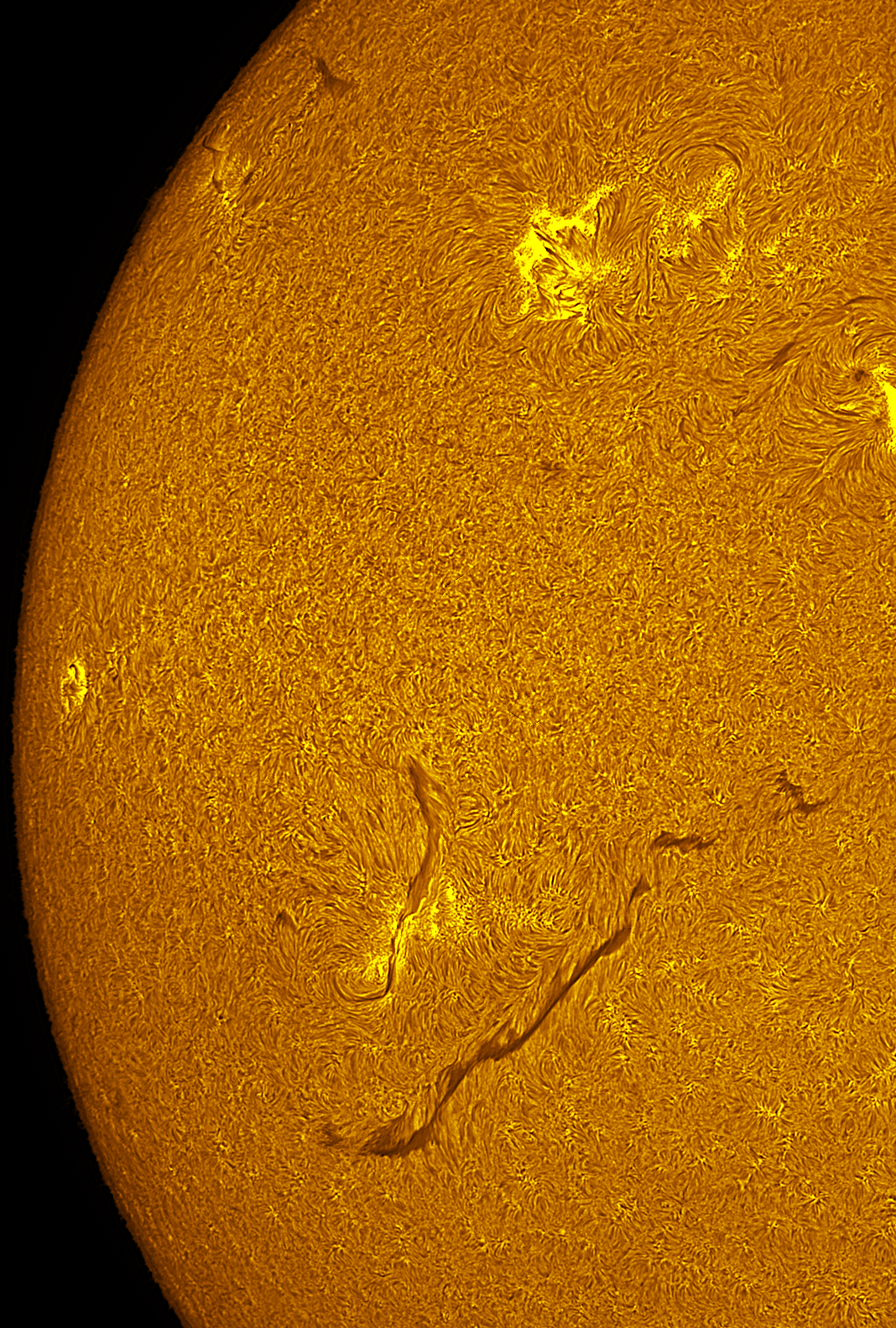 Active region 4462 in h-alpha 06/05/26