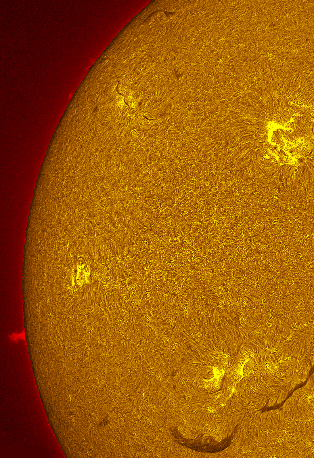 Active region 4462 in h-alpha 06/06/26