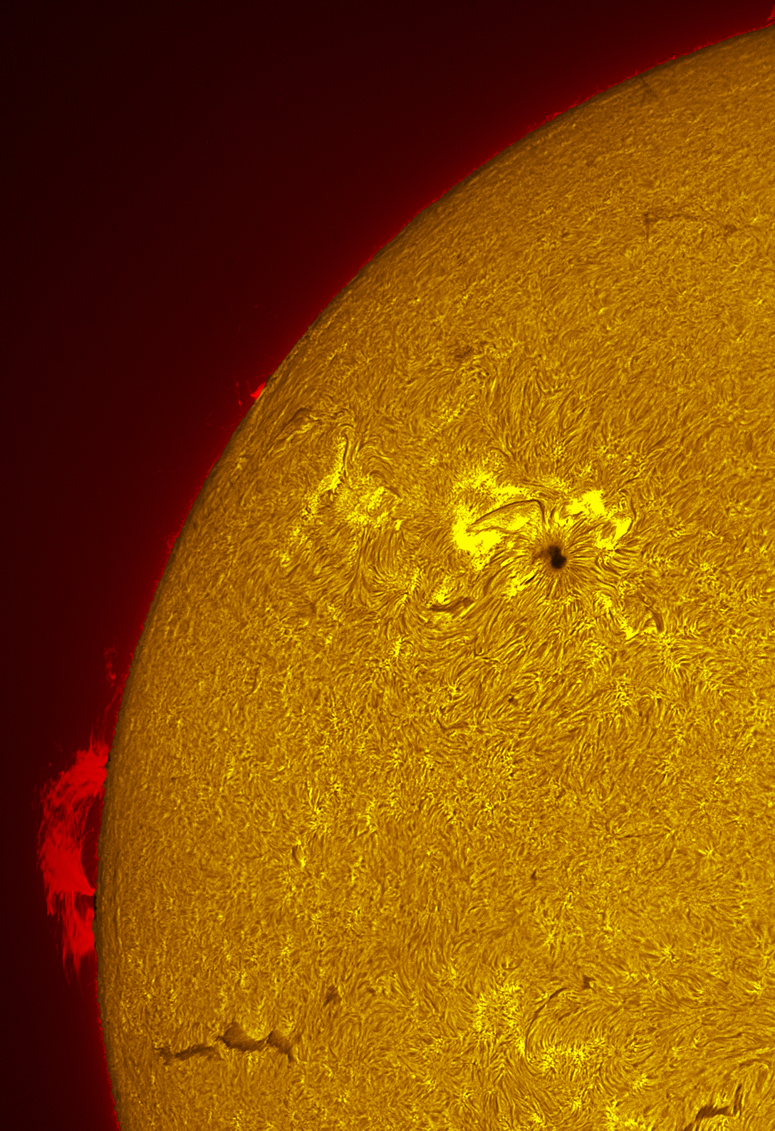 Solar prominence in h-alpha 05/30/26