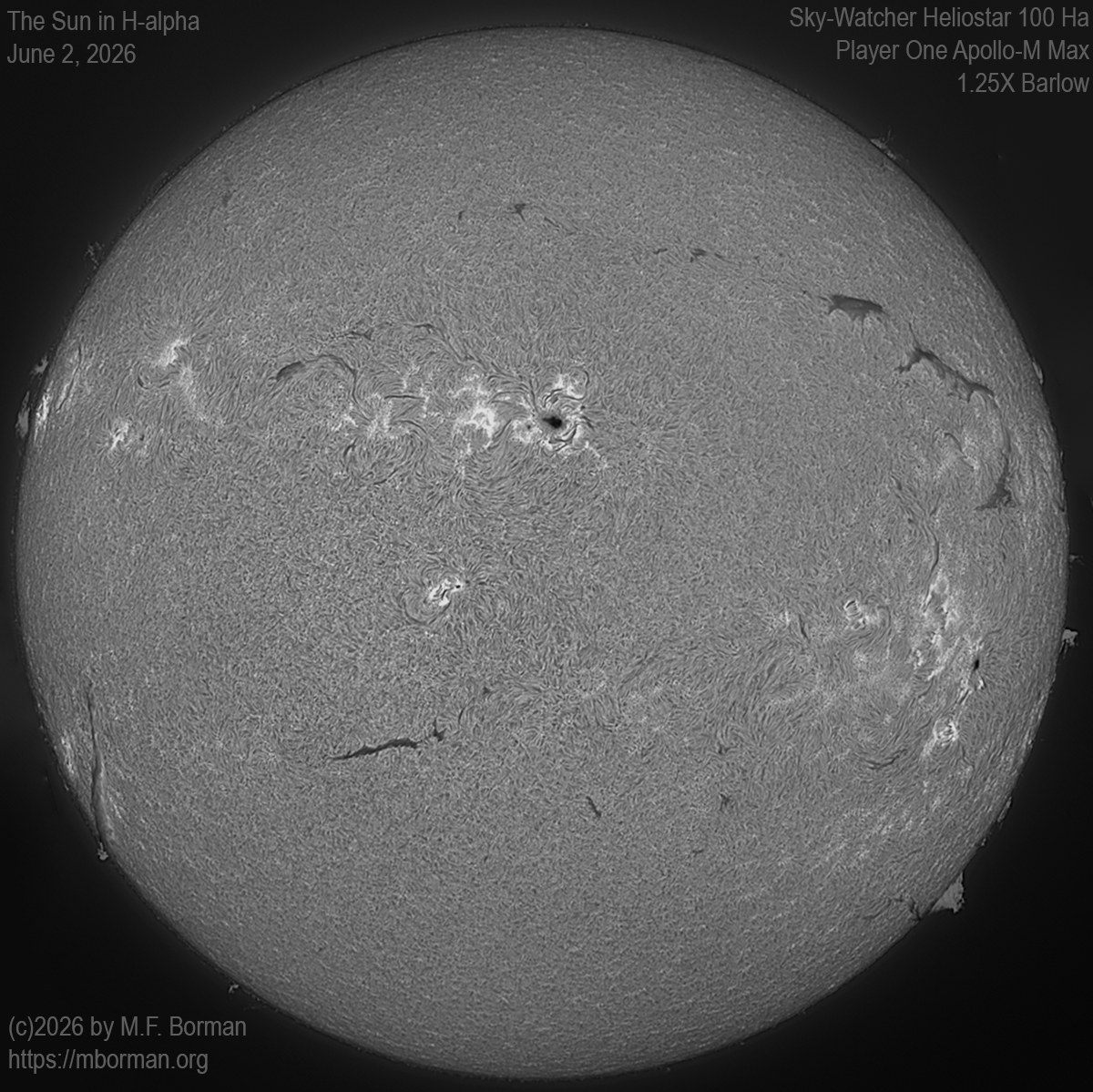 Solar image in h-alpha 06/02/26