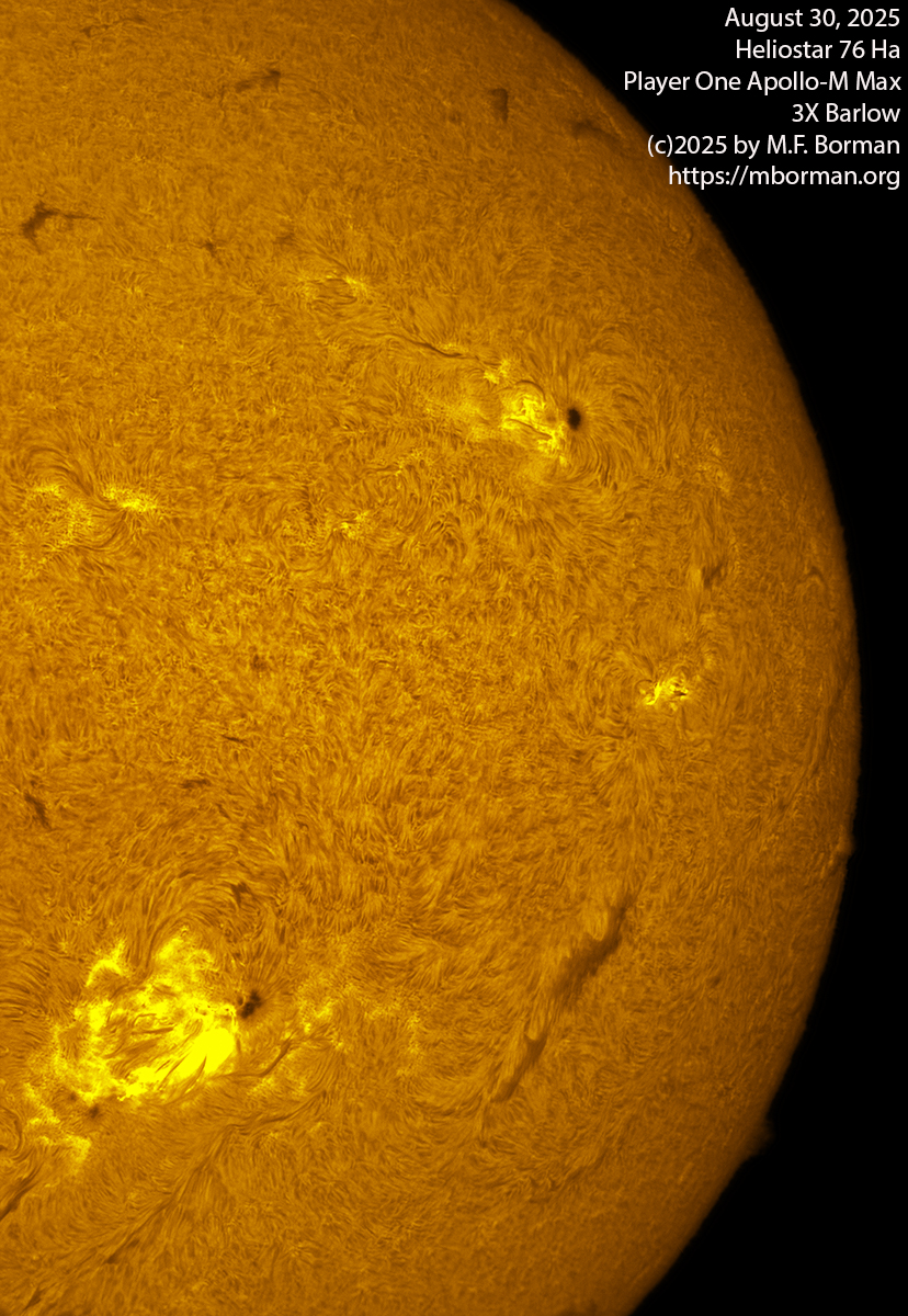 Solar image in h-alpha 08/30/25