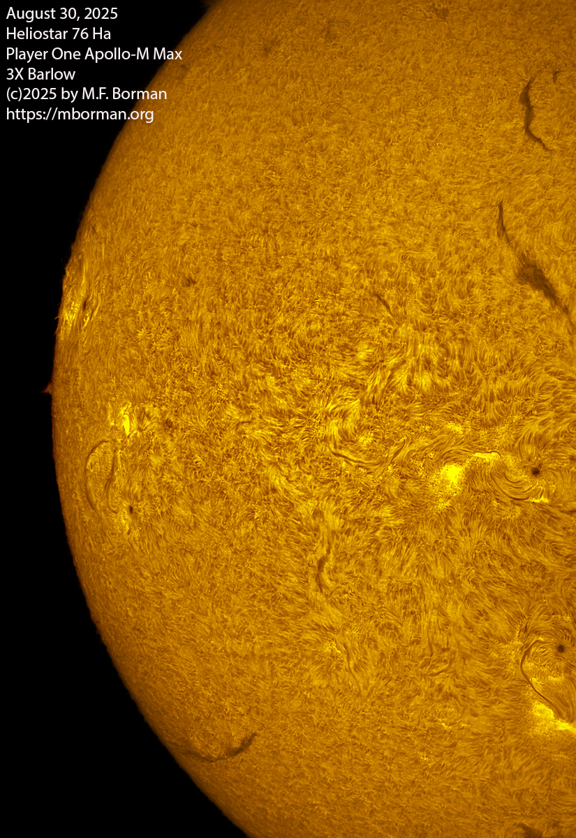 Solar image in h-alpha 08/30/25