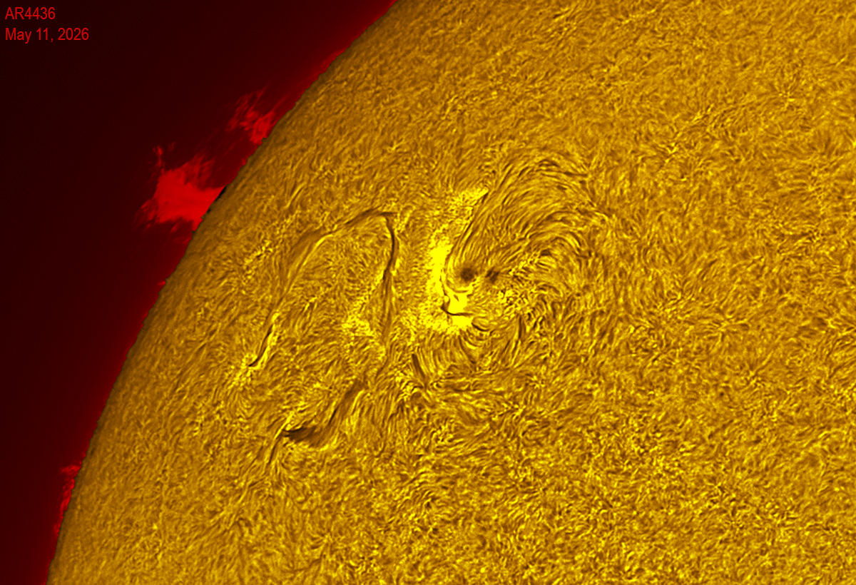 Active region 4436 05/11/26
