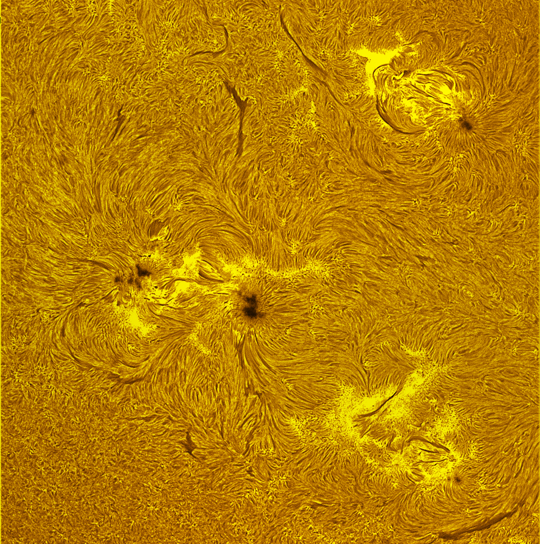 Active region 4477-4480 in h-alpha 06/29/26