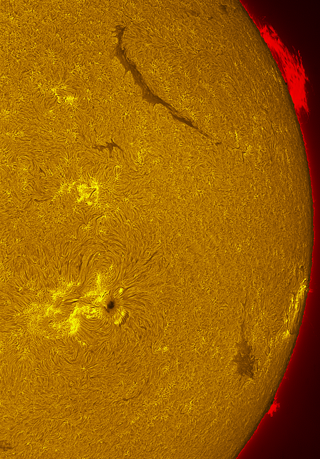 Active region 4482 in h-alpha 07/12/26