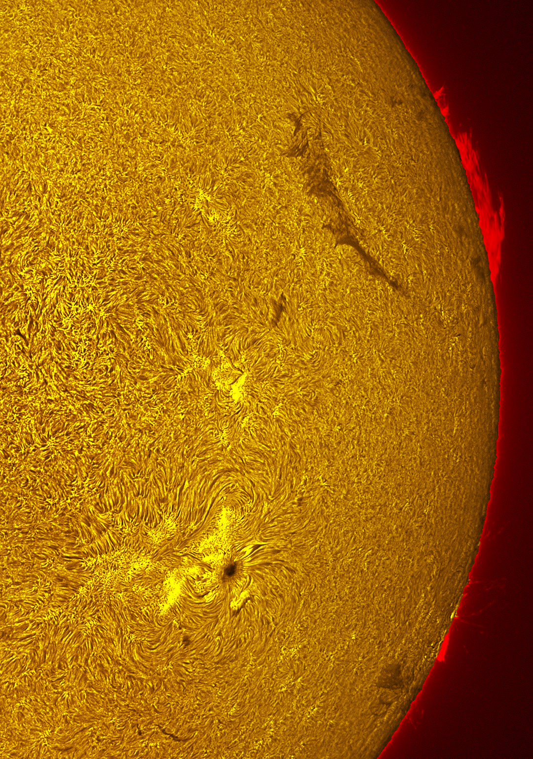 Active region 4482 in h-alpha 07/13/26