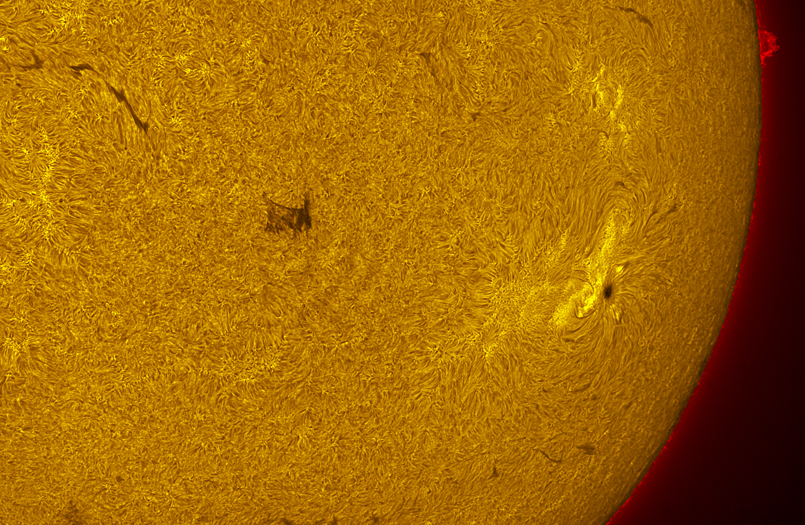 Active region 4482 in h-alpha 07/14/26