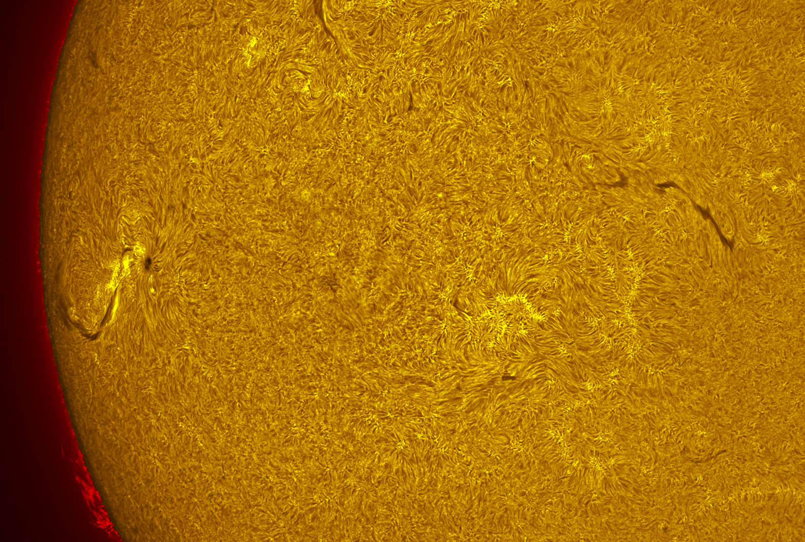 New Active region in h-alpha 07/14/26