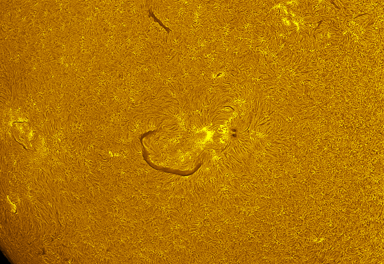 Active region in h-alpha 07/18/26