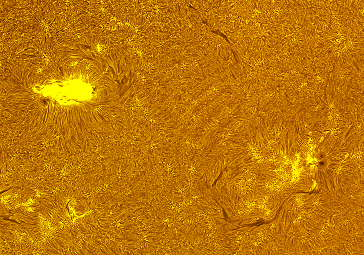 Active region in h-alpha 07/20/26