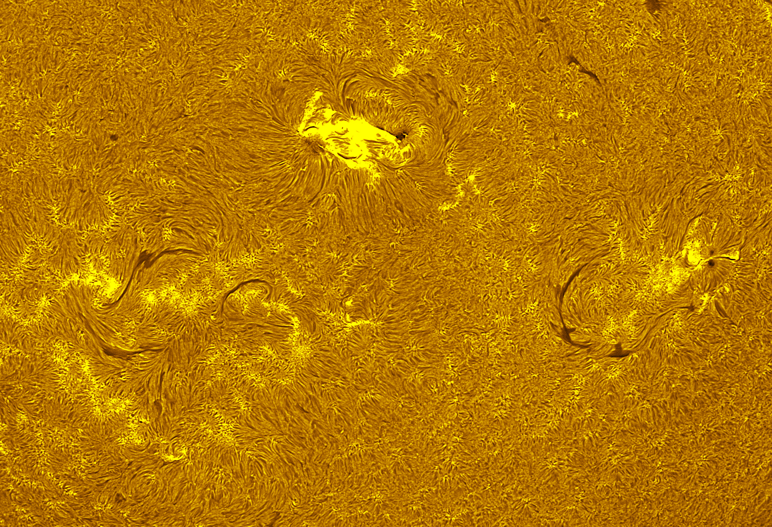 Active region 4489-4493 in h-alpha 07/21/26