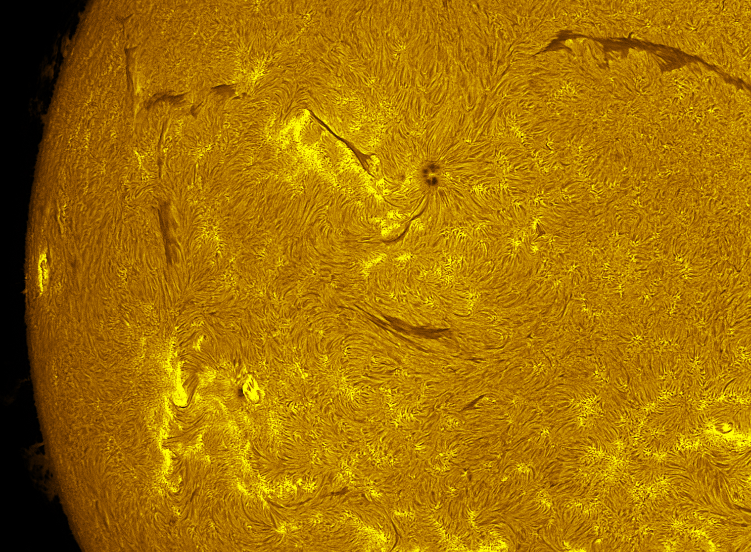 Active region in h-alpha 07/23/26