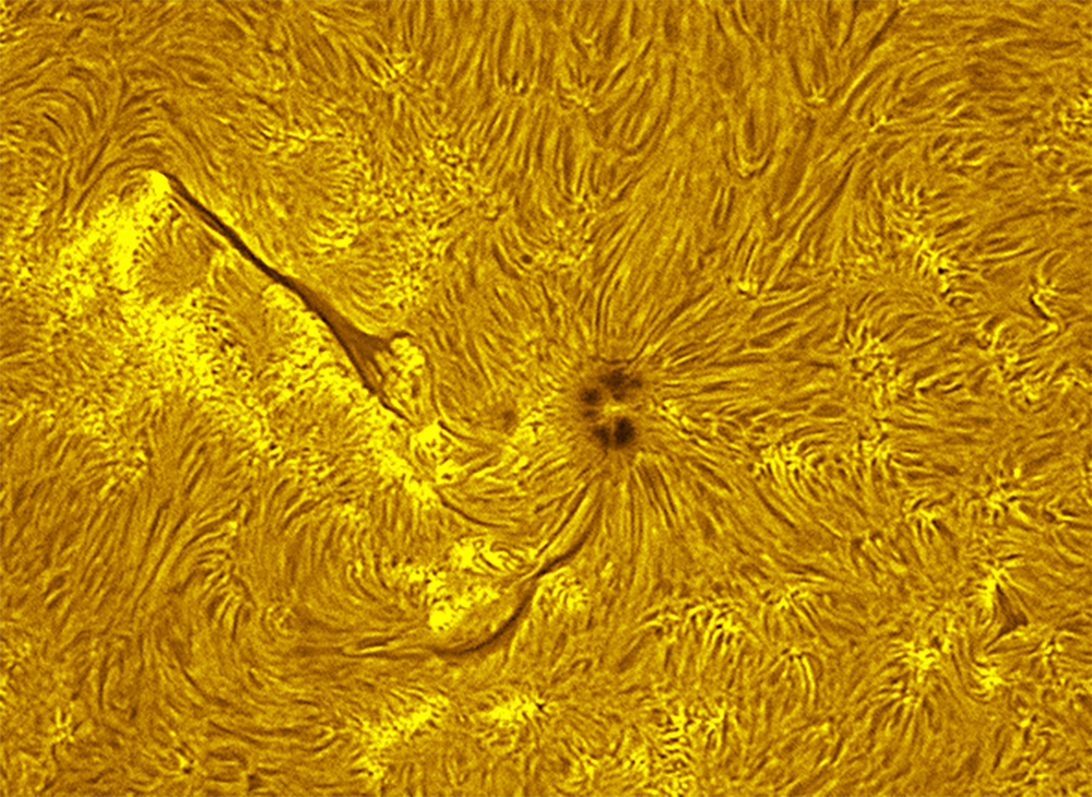 Active region in h-alpha 07/23/26