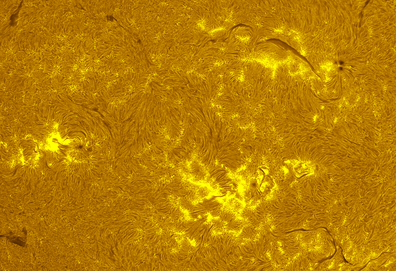 Active regions 4492-4496 in h-alpha 07/27/26