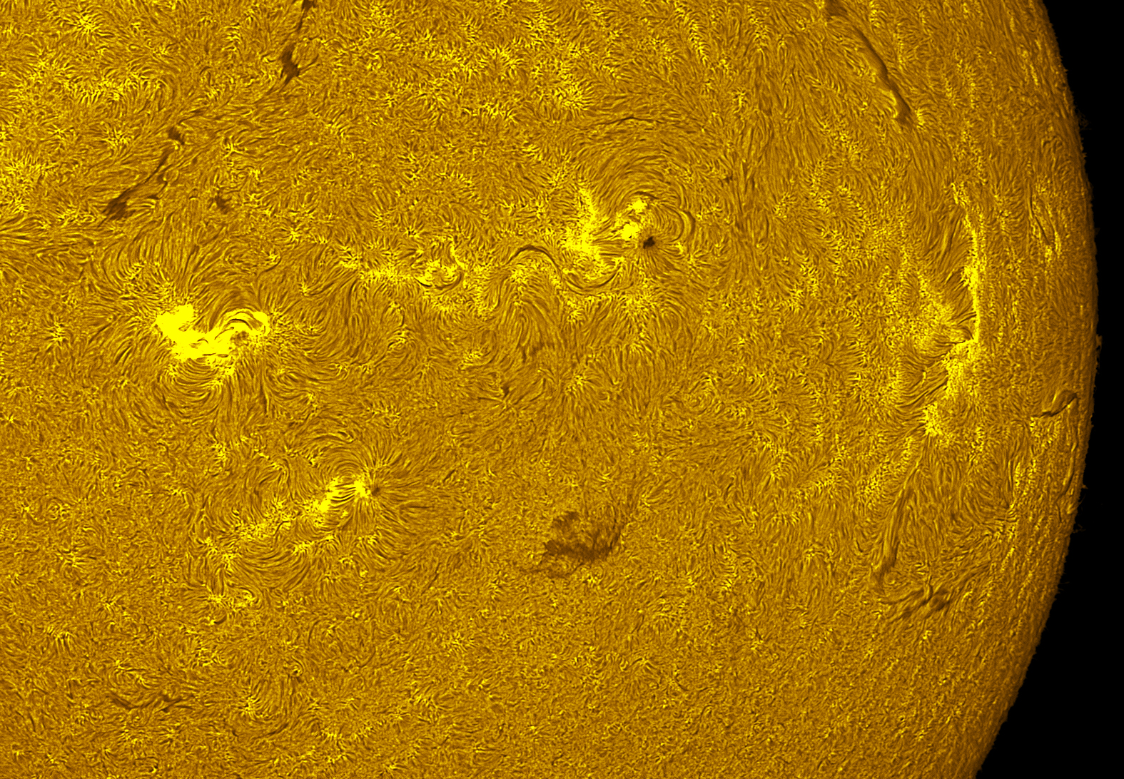 Active regions 4492-4501 in h-alpha 07/31/26