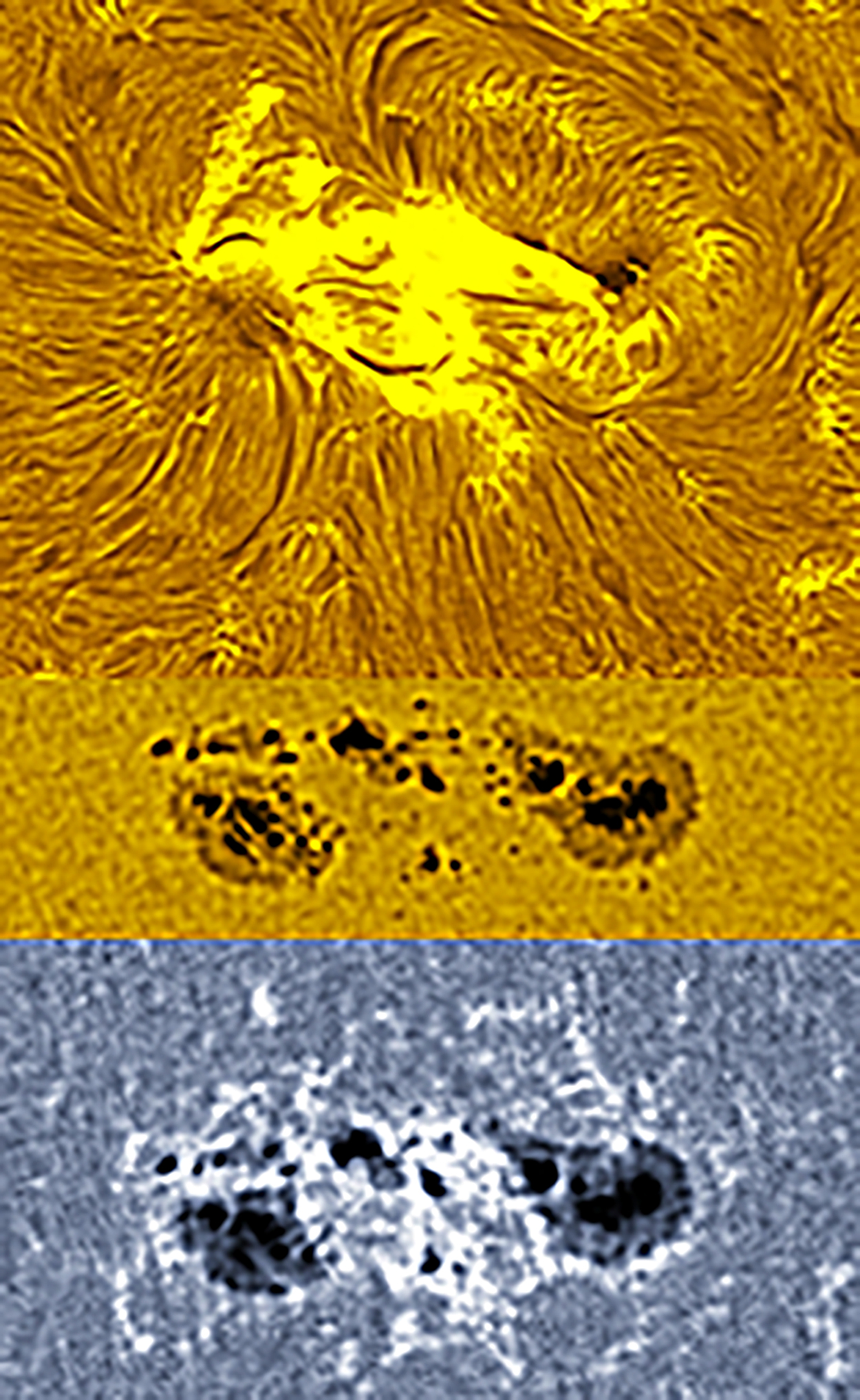 Active region 4493 in h-alpha, white light, and CaK 07/21/26