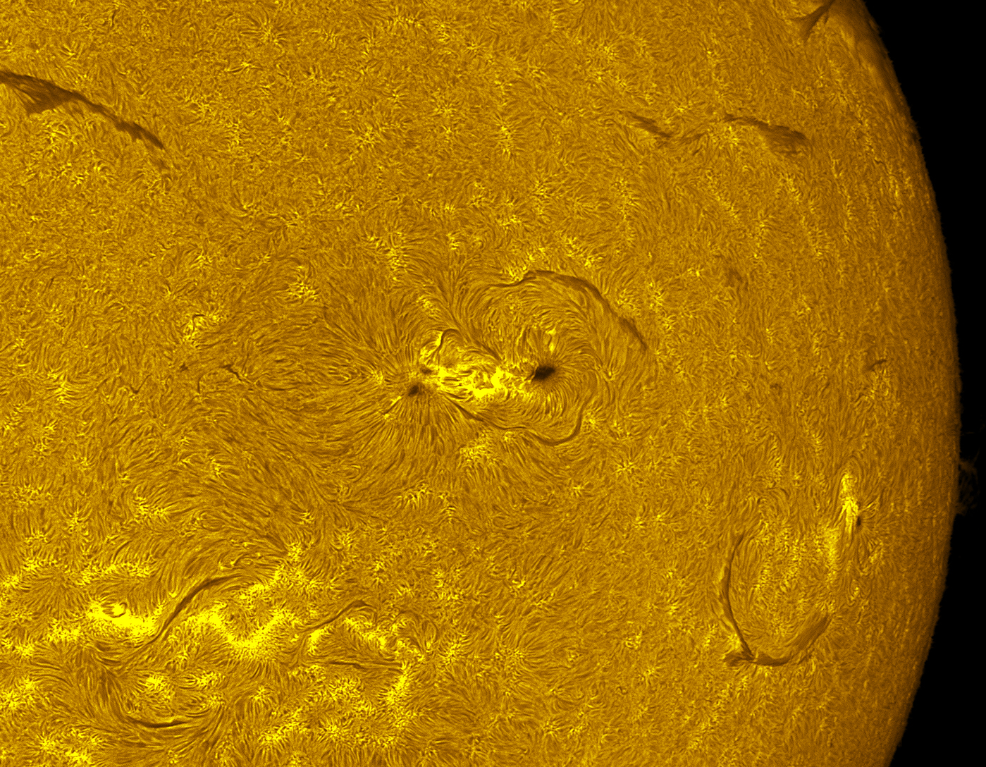 Active region in h-alpha 07/23/26