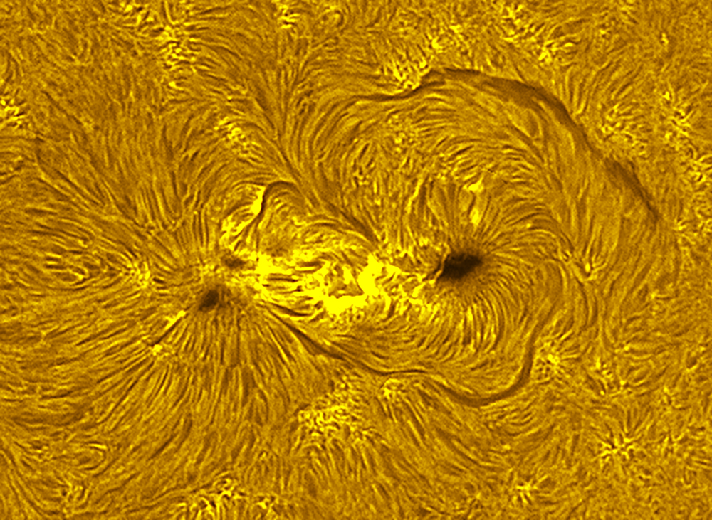 Active region in h-alpha 07/23/26