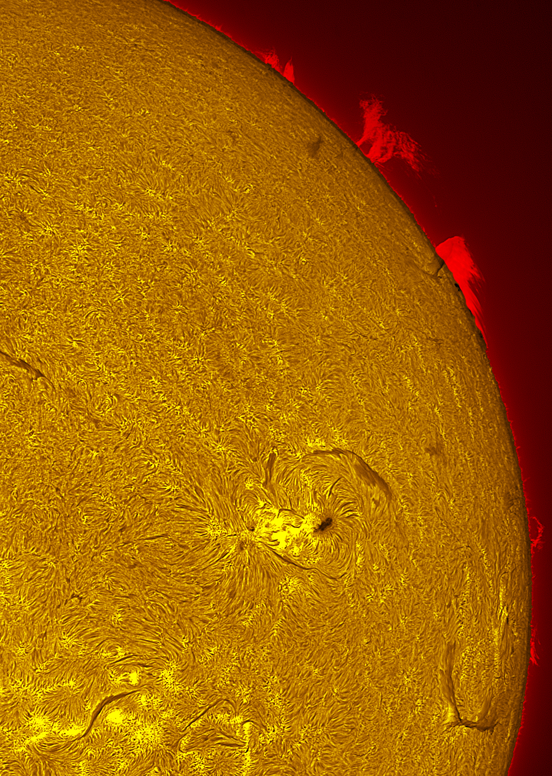 Active region 4493 in h-alpha 07/24/26
