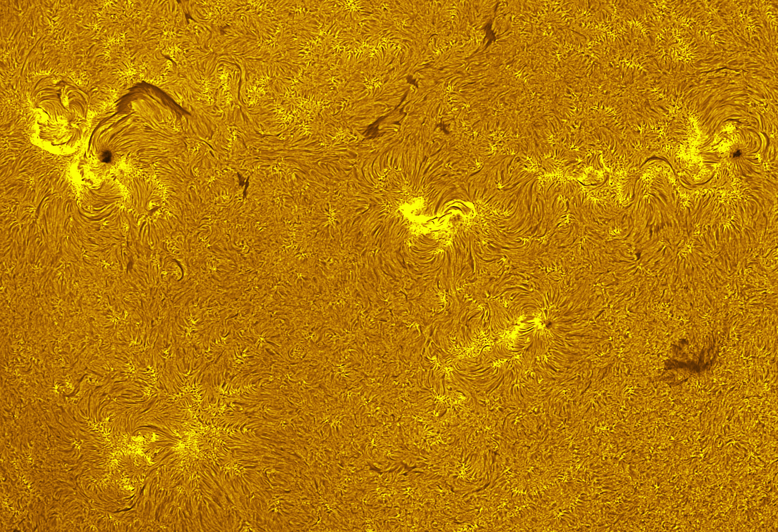 Active regions in h-alpha 07/31/26