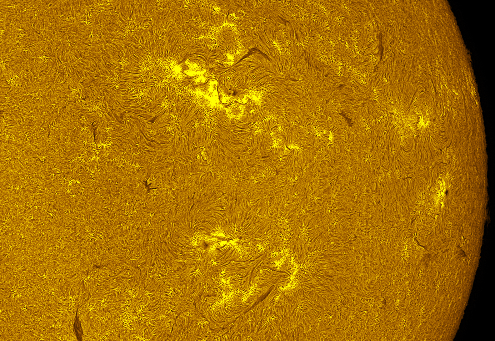 Active region 4496-4502 in h-alpha 08/04/26