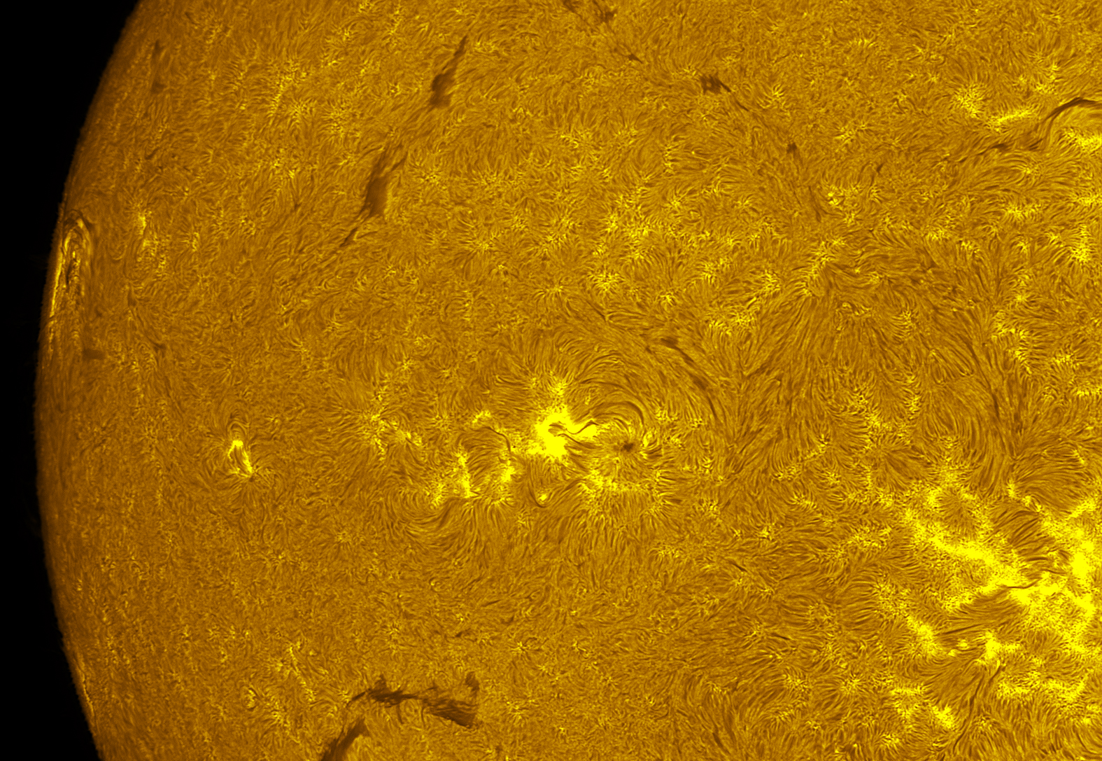 Active regions in h-alpha 07/27/26