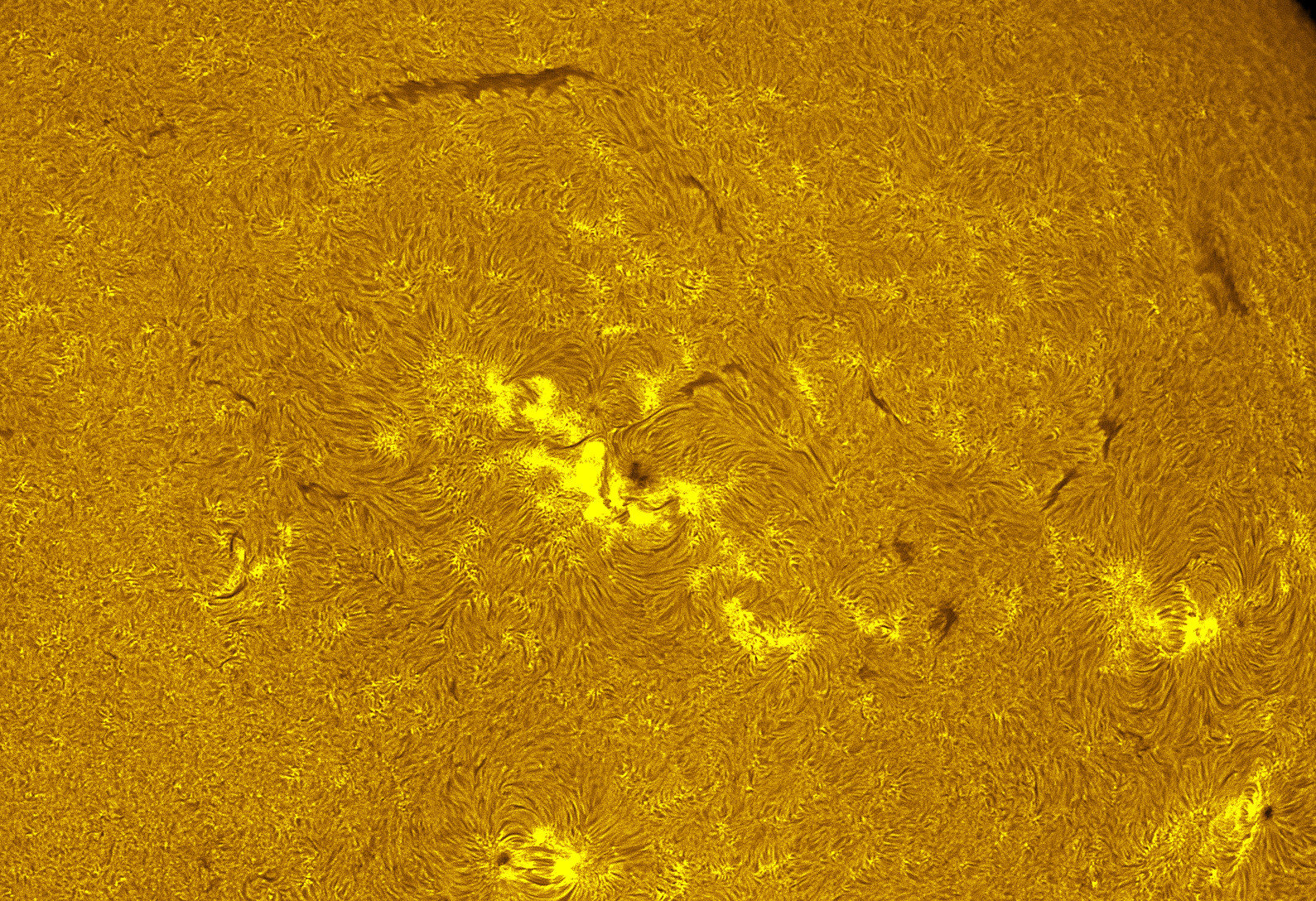 Active regions 4498-4501 in h-alpha 08/03/26