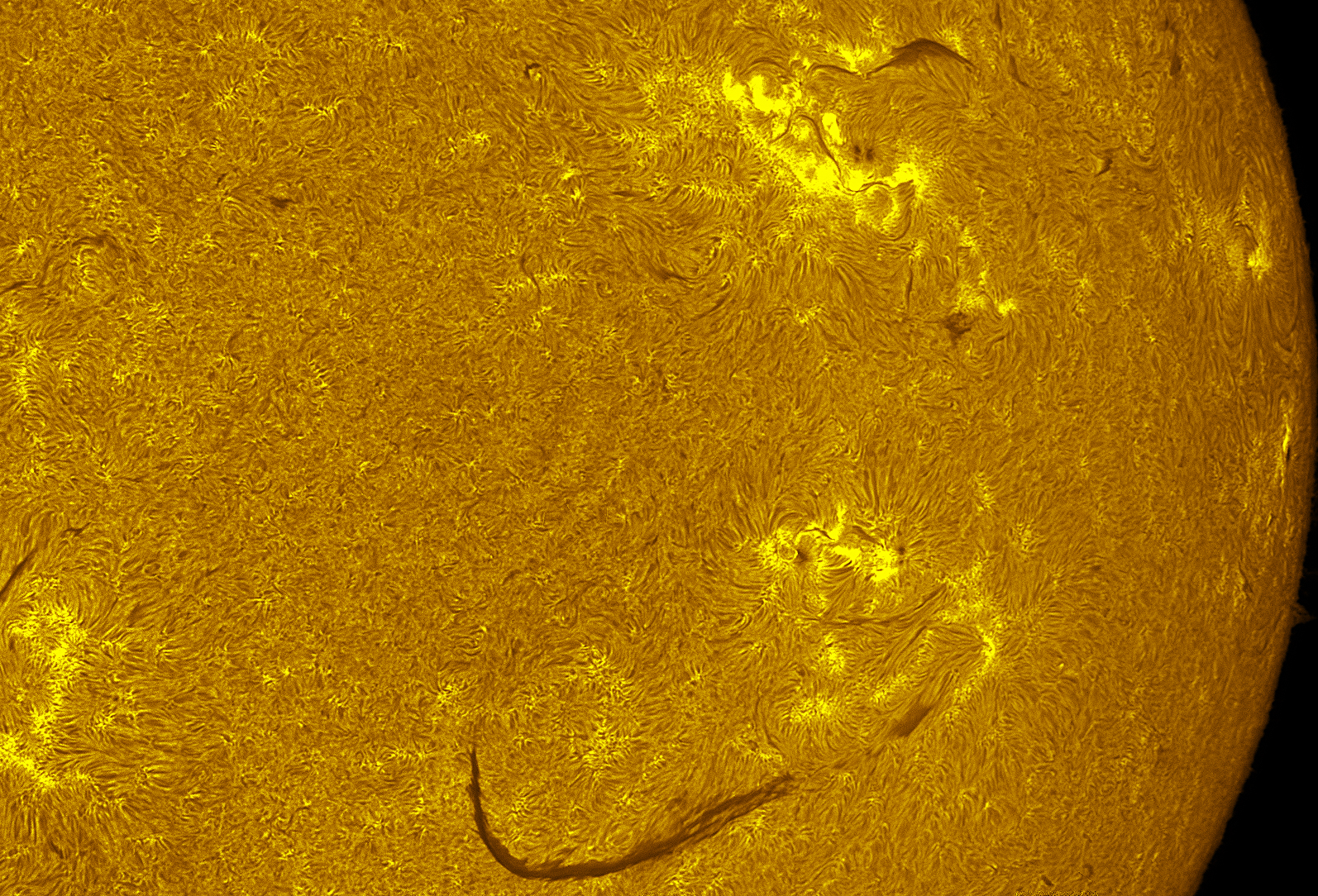 Active regions 4498-4502 in h-alpha 08/05/26
