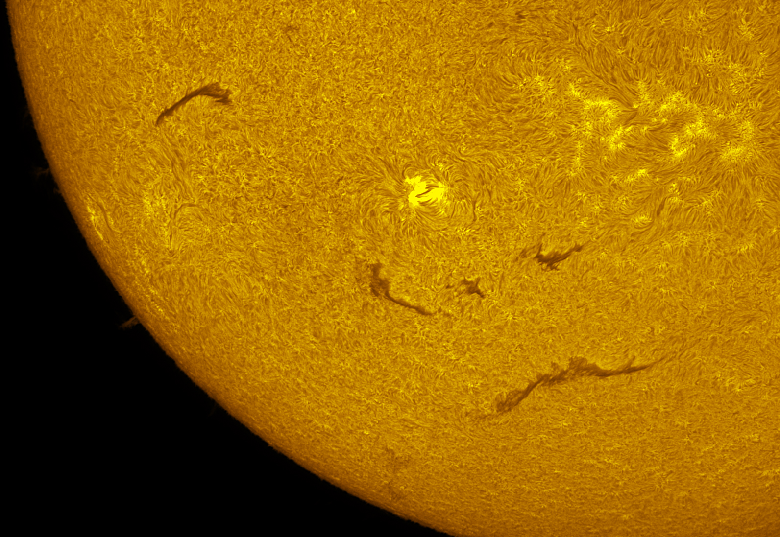 Active region 4513-4517 08/29/26
