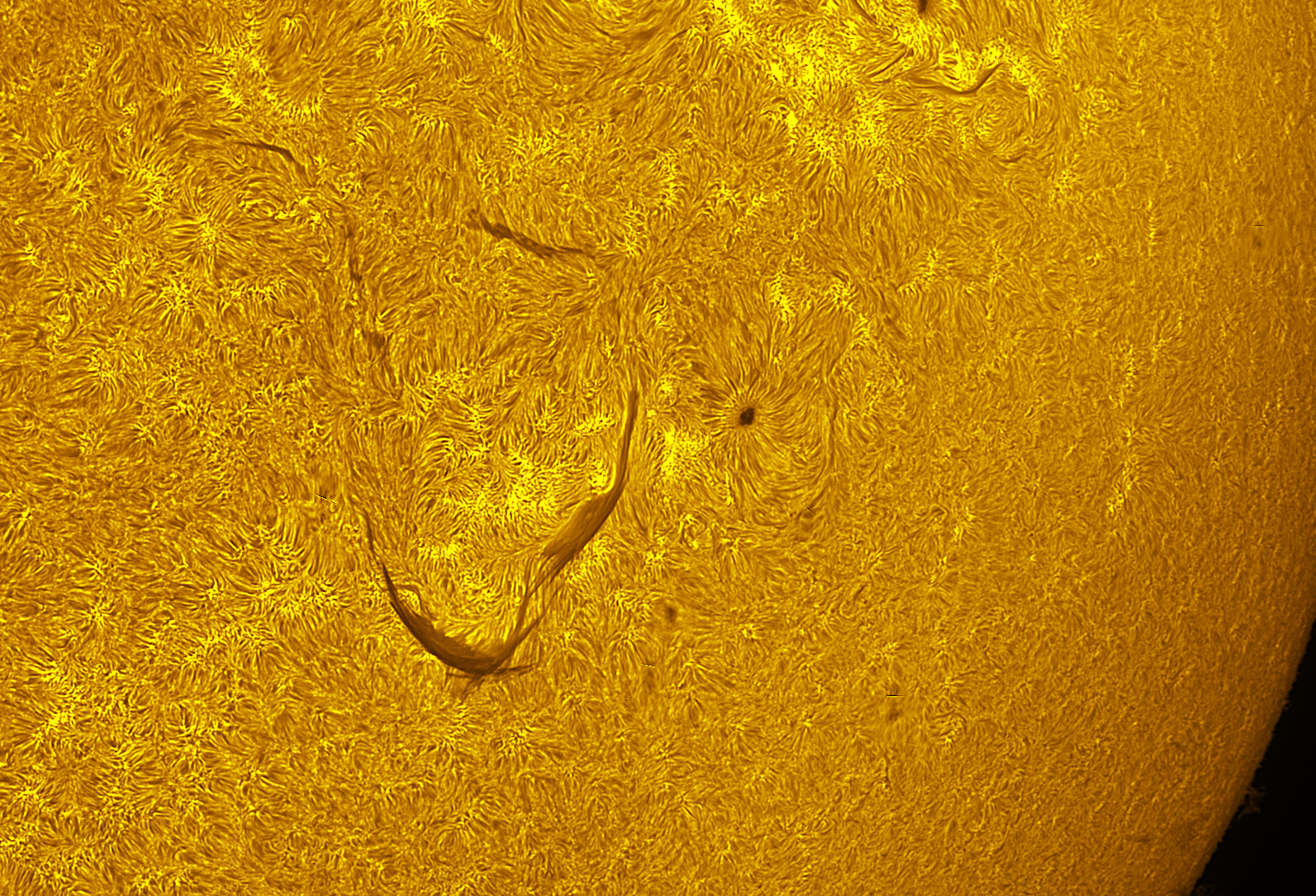 AR4521-4524 in h-alpha 09/13/26