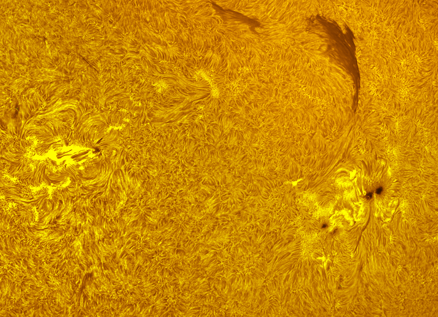 Active region 4551-4557 in h-alpha 10/17/26