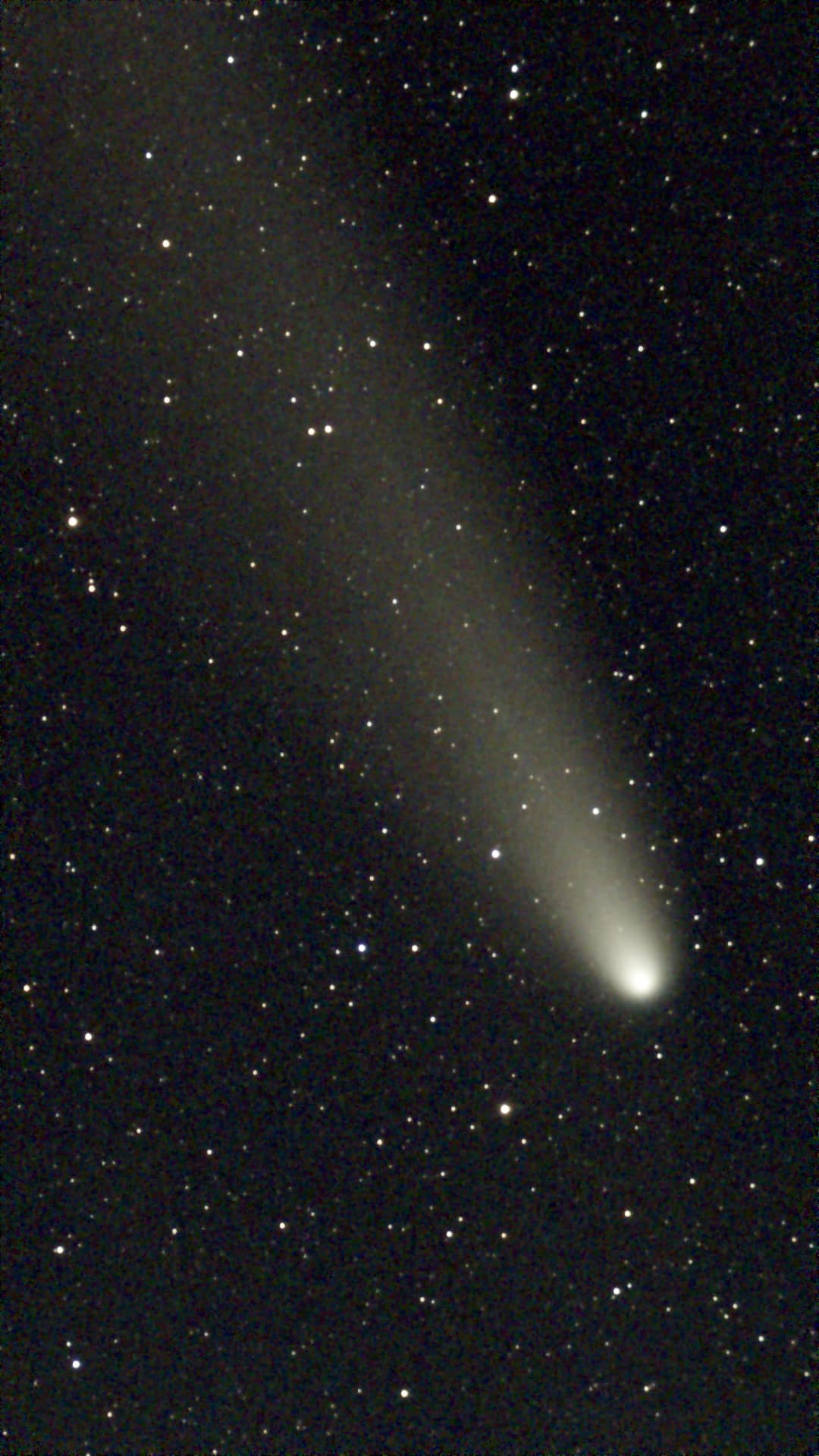 Comet 2023 A3 (Tsuchinshan-ATLAS)