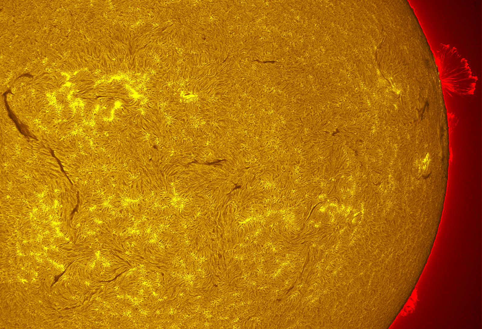 Solar prominence in h-alpha 08/21/26