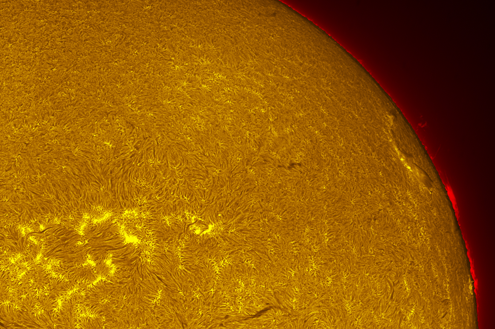 Solar filament in h-alpha 08/22/26