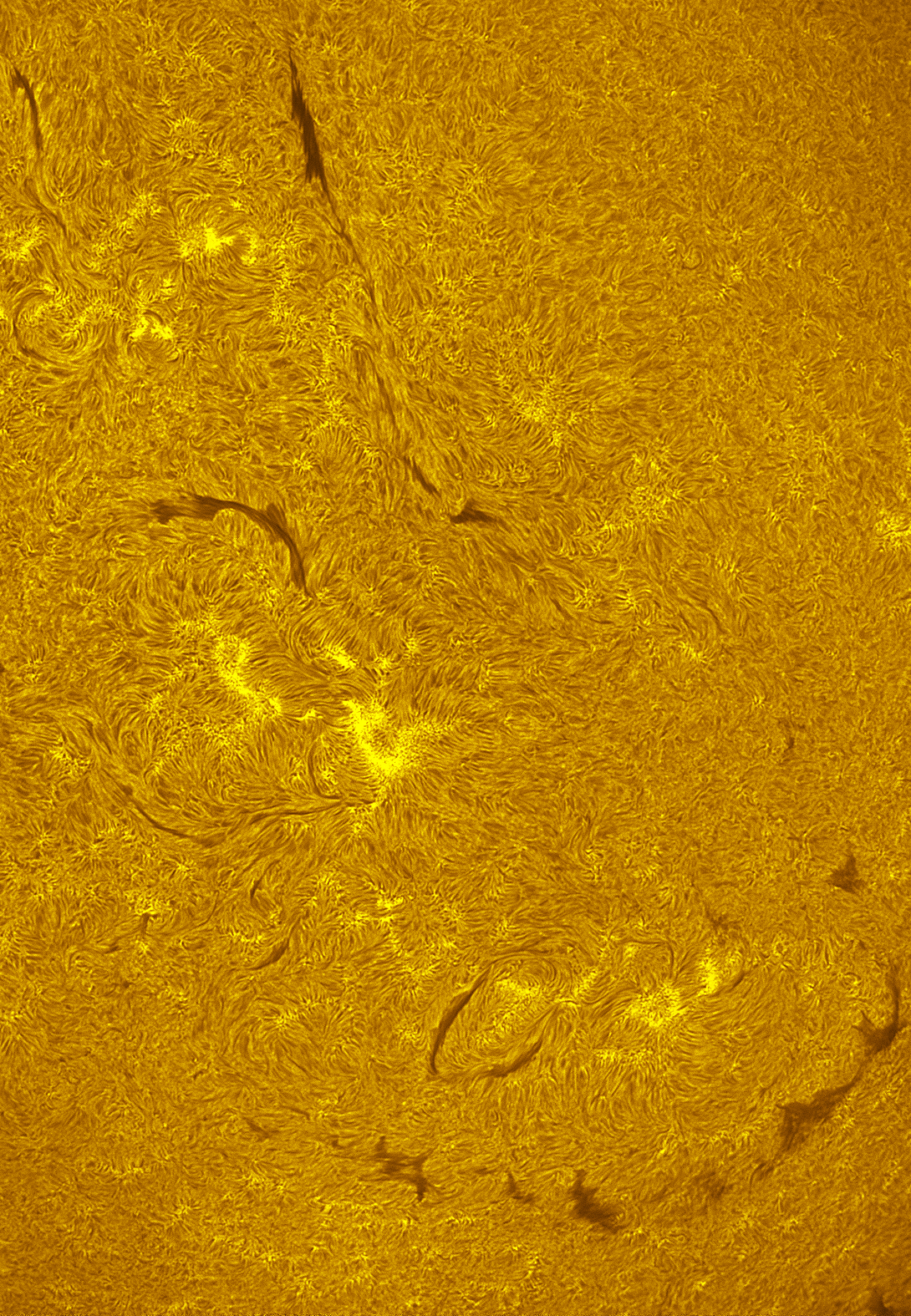 Filaments and prominences in h-alpha 06/19/26