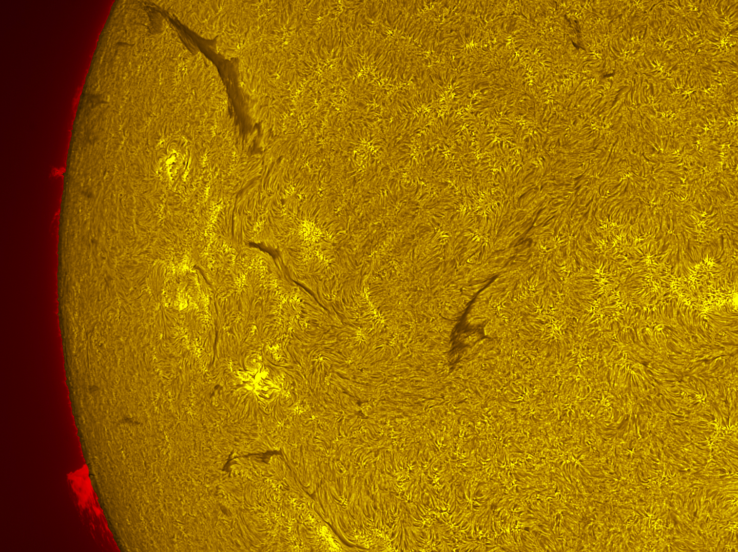 Filaments 08/26/26