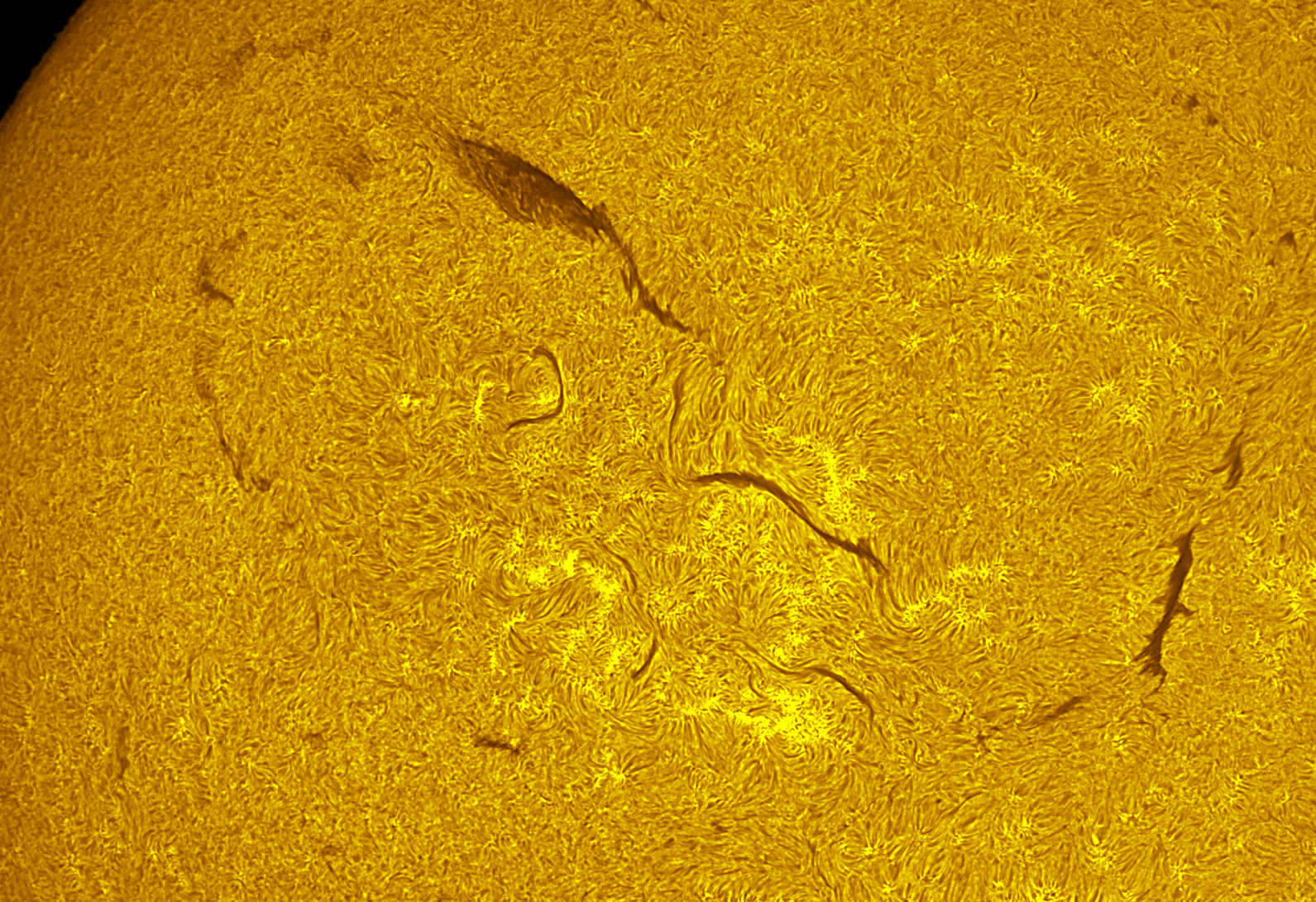 Filaments 08/29/26