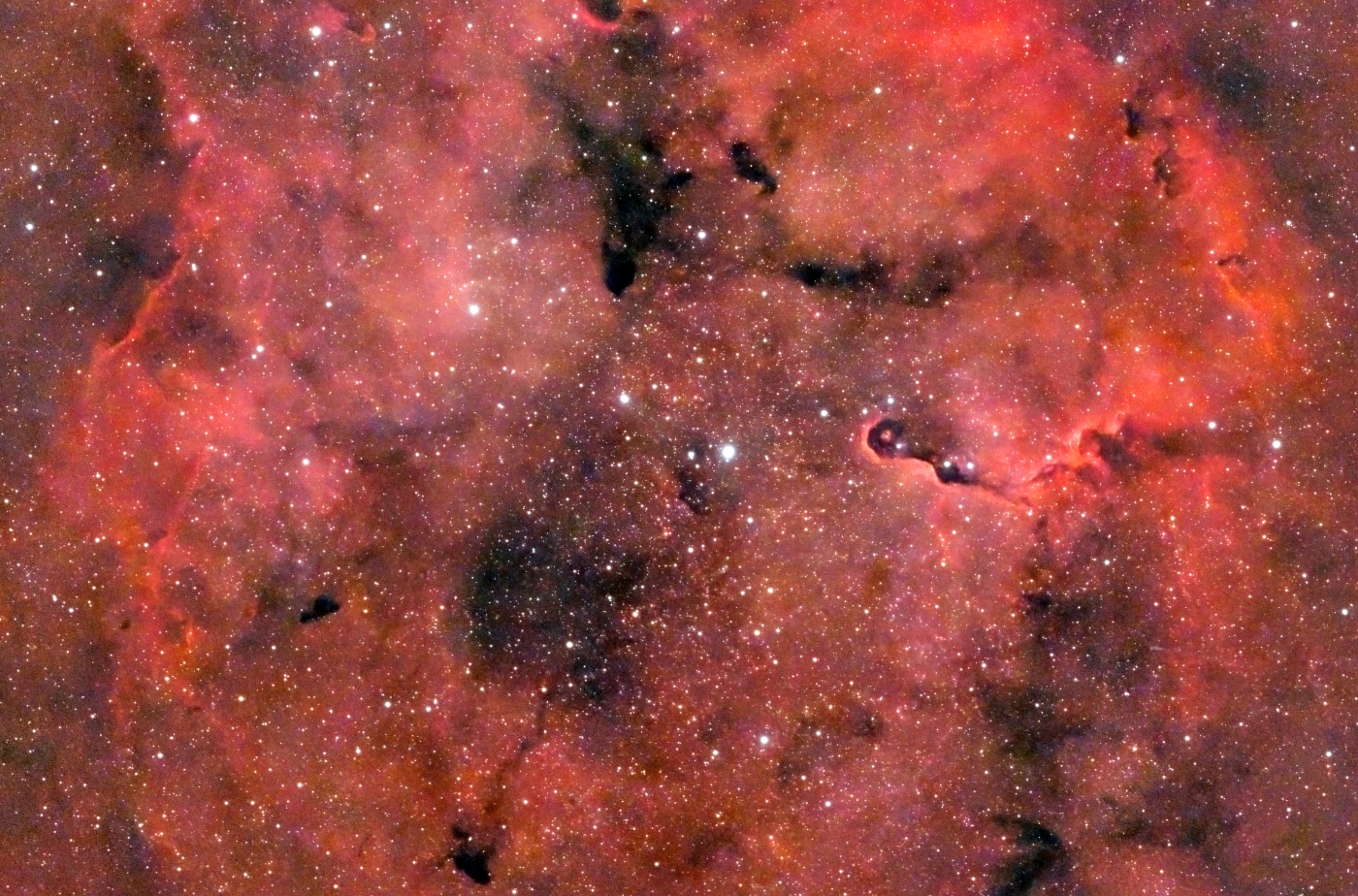 IC1396 with The Elephant Trunk Nebula taken 10/19/26 with a Seestar S50 Pro Smart Telescope.