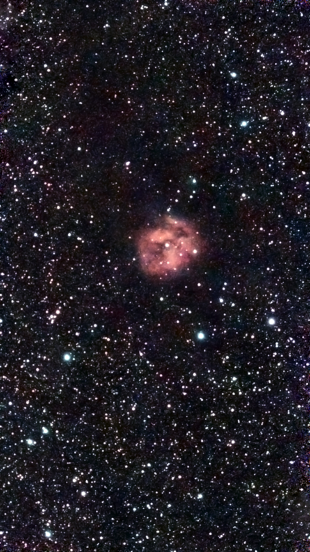 The Cocoon Nebula (IC5146) and Barnard 186.
