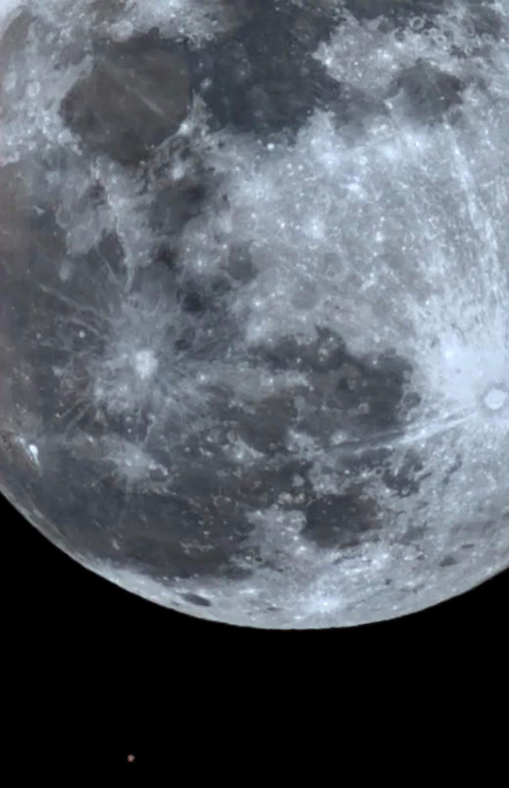 Mars Occulted By The Moon 01/13/25