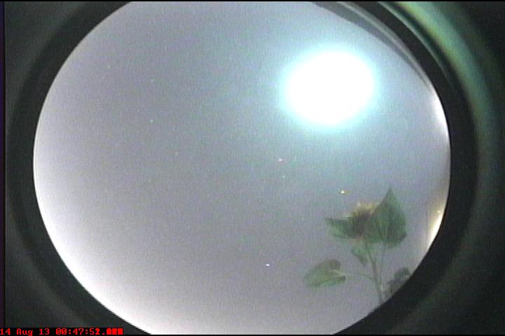 Meteor air burst and at peak brightness. 