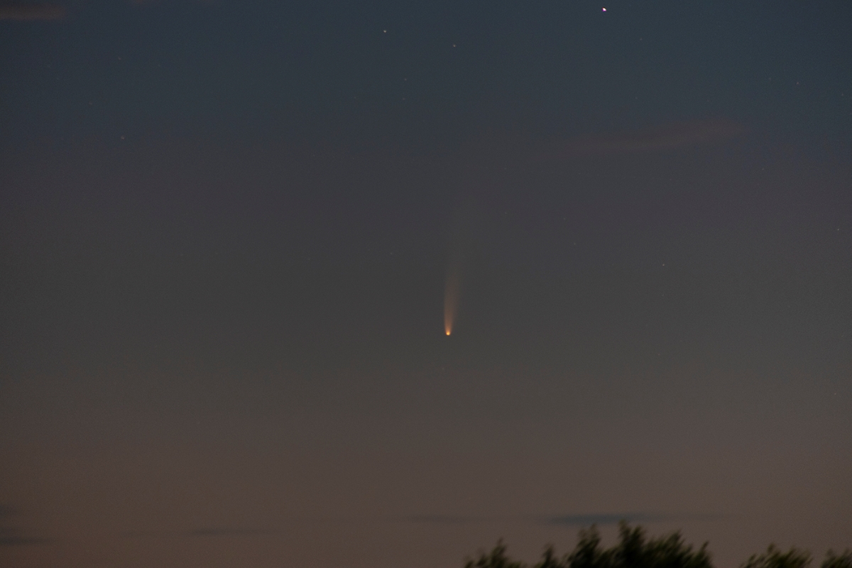 Comet Neowise (c/2020 F3)