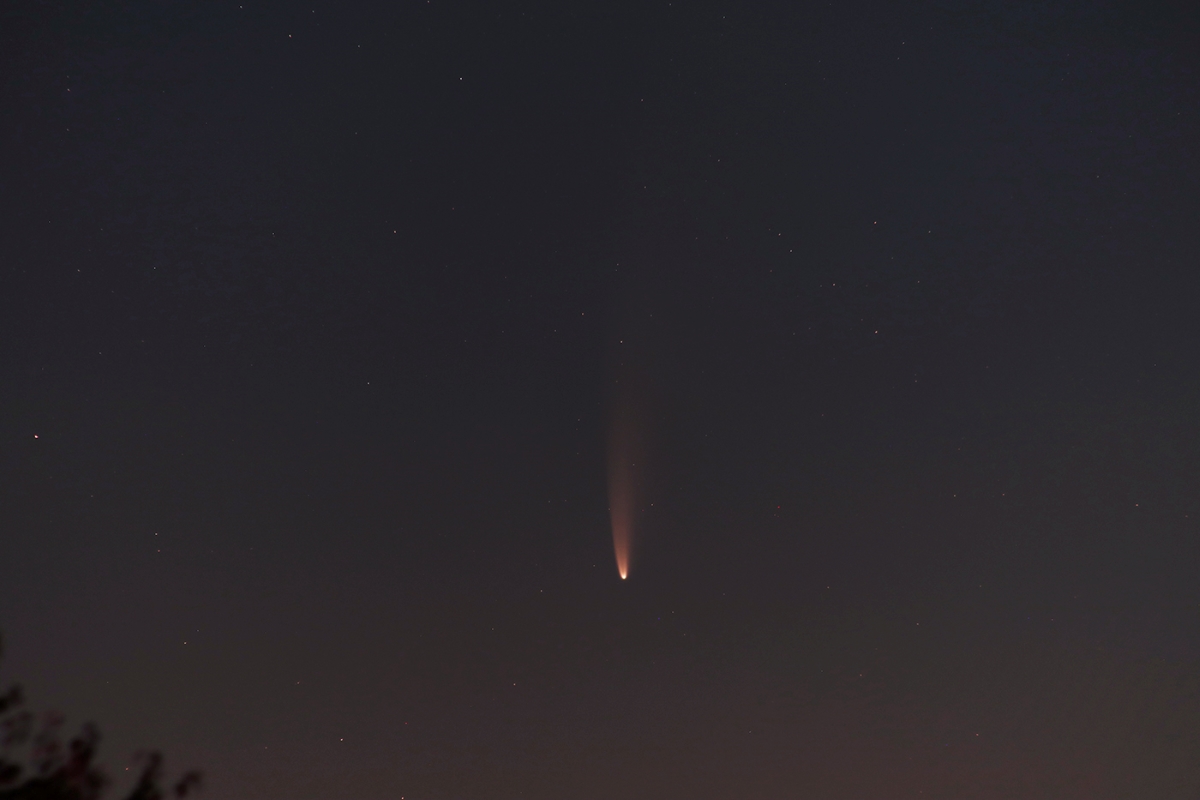 Comet Neowise (c/2020 F3)