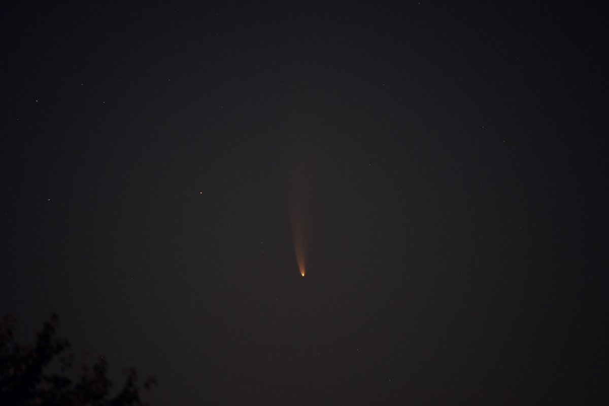 Comet Neowise (c/2020 F3)