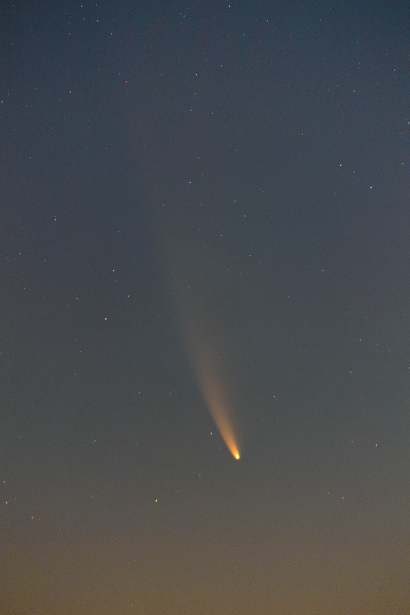 Comet Neowise (c/2020 F3)