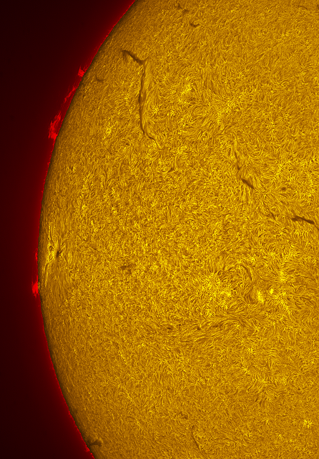 New Active region in h-alpha 07/13/26