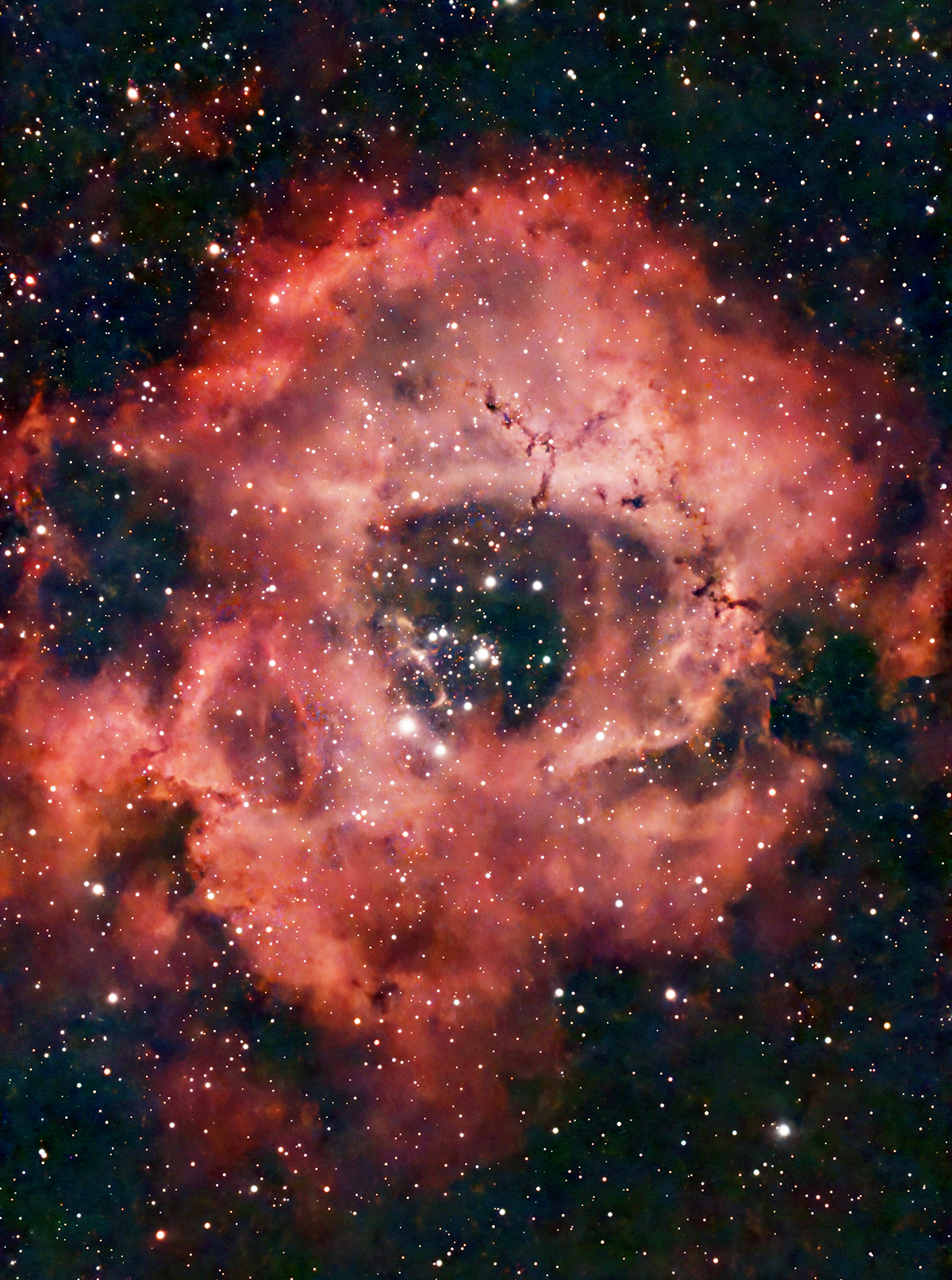 The Rosette Nebula NGC2237 taken December 15, 2025 with a Seestar S30 Smart Telescope