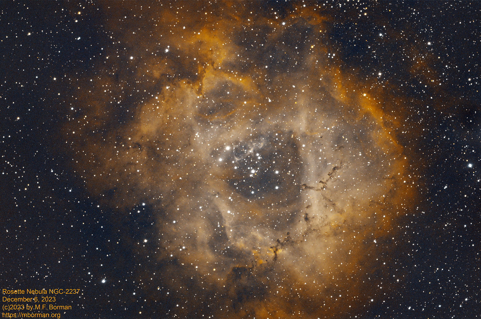 The Rosette Nebula (NGC-2237) taken 12/06/23 with a ZWO ASI183MC Pro camera attached to an Celestron 8